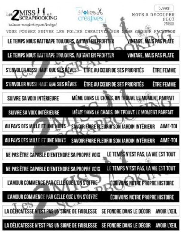 Les 2 Miss scrapbooking - Éphéméra «Mots à découper» FL03
