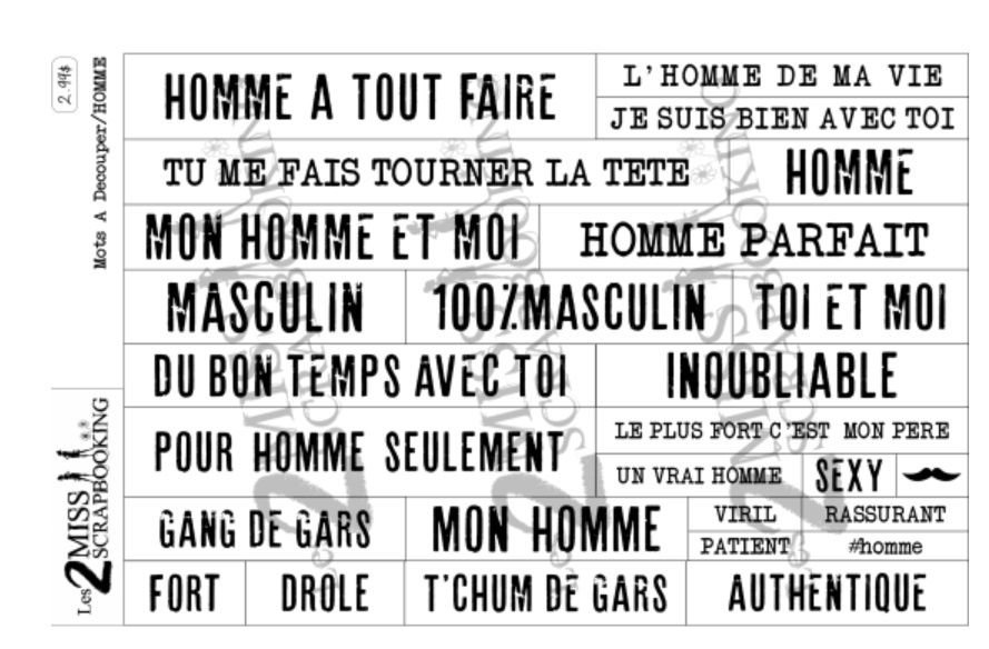 Les 2 Miss scrapbooking - Éphéméra Mots à découper «Homme»