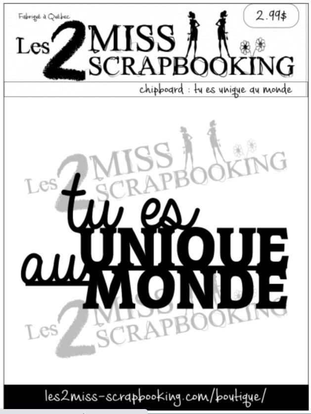 Les 2 Miss scrapbooking - Chipboard «Tu es unique au monde»