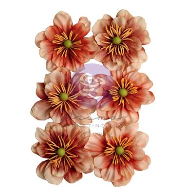 Prima Flowers - «The Home Baker» 6 pièces