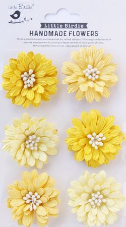 Little Birdie - Fleurs Astra Sunshine, 6 pièces
