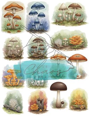 Le Chaos créatif - Washi Tape Champignons