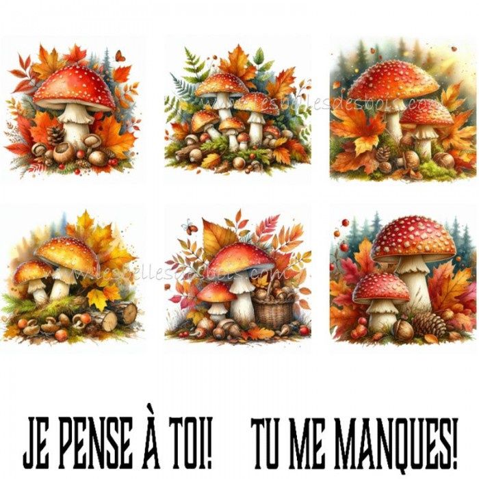 Les Belles de Bois - Topper Champignons