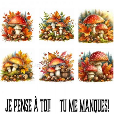 Les Belles des Bois - Topper Champignons
