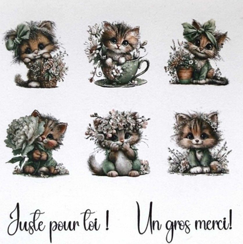 Les Belles de Bois - Topper Tom 4