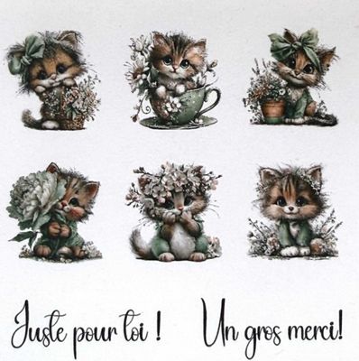 Les Belles des Bois - Topper Tom 4