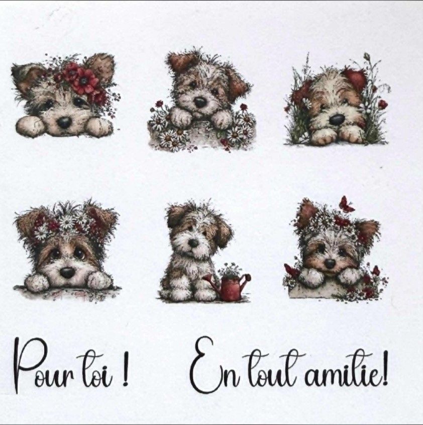 Les Belles de Bois - Topper Maya 4