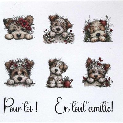 Les Belles des Bois - Topper Maya 4