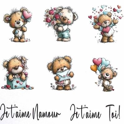 Les Belles des Bois - Topper Nounours 2 love