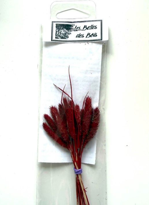 Les Belles de Bois - Herbes Fléole des prés rouge (petit)
