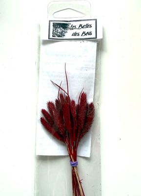 Les Belles des Bois - Herbes Fléole des prés rouge (petit)