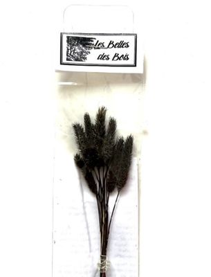 Les Belles des Bois - Herbes Fléole des prés noire (petit)