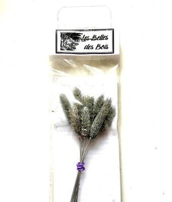 Les Belles des Bois - Herbes Fléole des prés argent (petit)