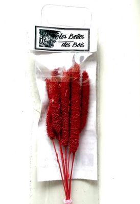 Les Belles des Bois - Herbes Fléole des prés rouge (grand)