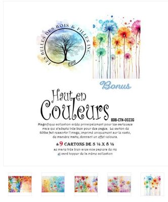 Les Belles des Bois - Papier 5,5x8,5 Haut en couleurs