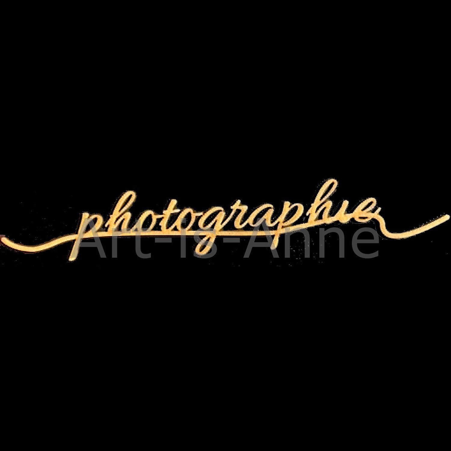Art-is-Anne créative - Chipboard 12" signature Photographie