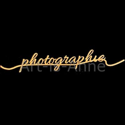 Art-is-Anne créative - Chipboard 12" signature Photographie