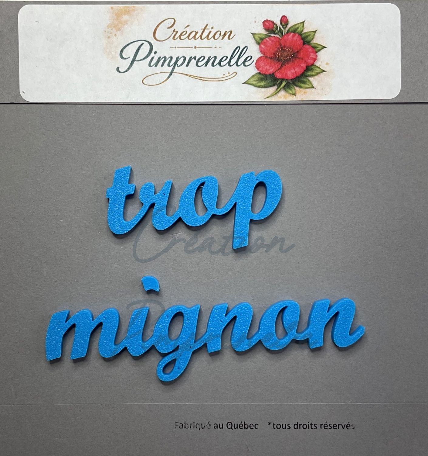 Création Pimprenelle - Mot en 3d, Trop Mignon (bleu)