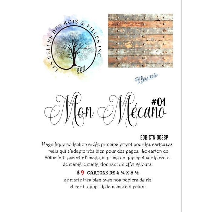 Les Belles des Bois - Kit Carton 4,25x5,5 Mon Mécano