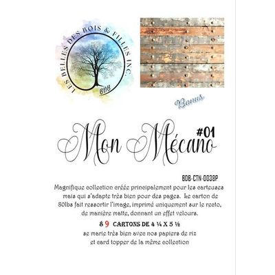 Les Belles des Bois - Kit Carton 4,25x5,5 Mon Mécano