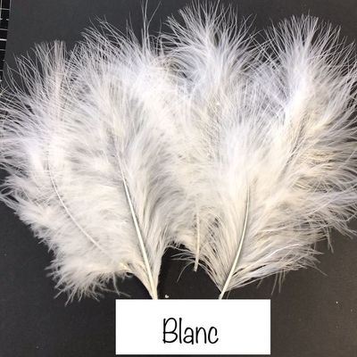 Les Belles des Bois - Plumes Blanches