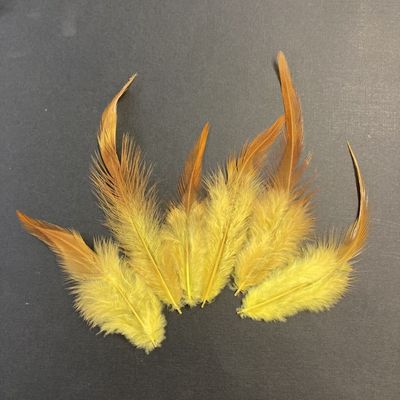 Les Belles des Bois - Plumes Slim Jaune