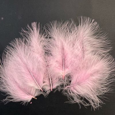 Les Belles des Bois - Plumes Roses