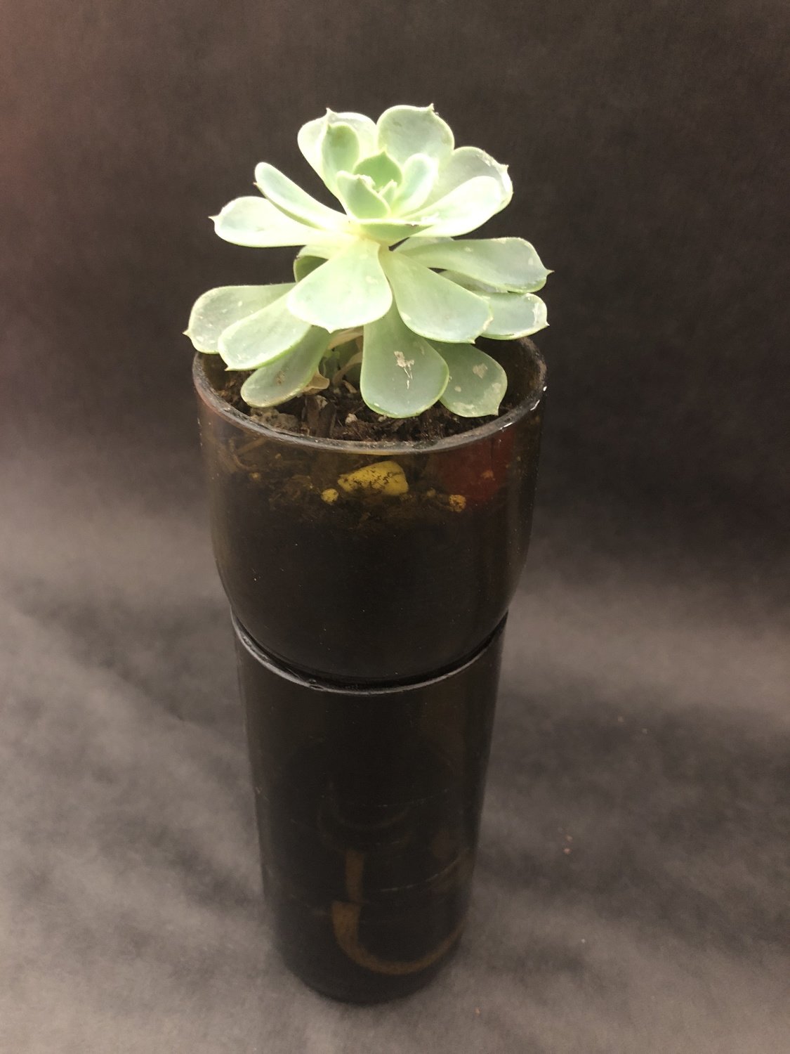 Tall Self-Watering Planter
