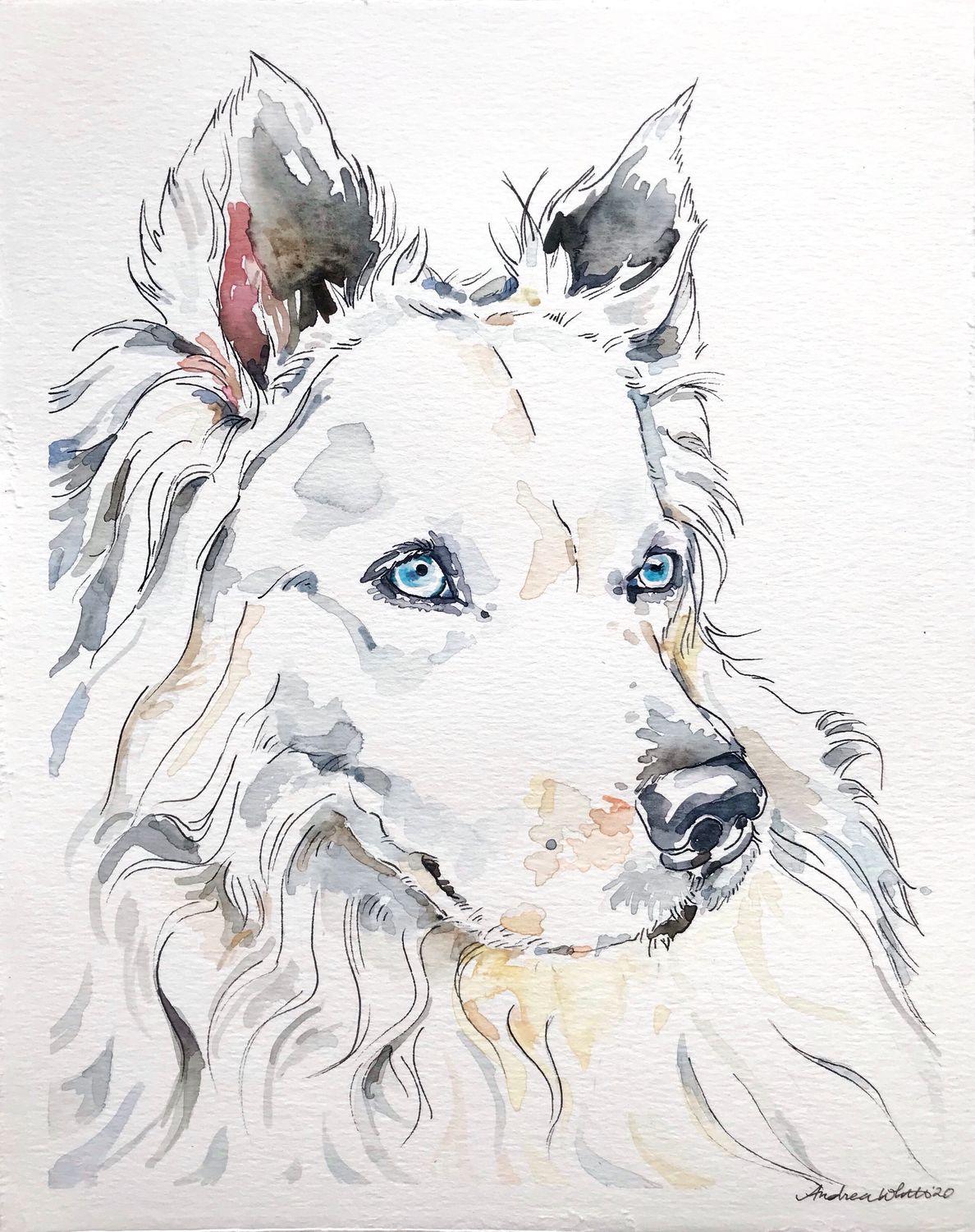 Custom Pet Portrait