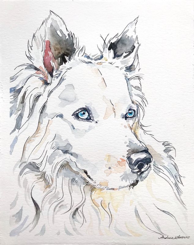 Custom Pet Portrait