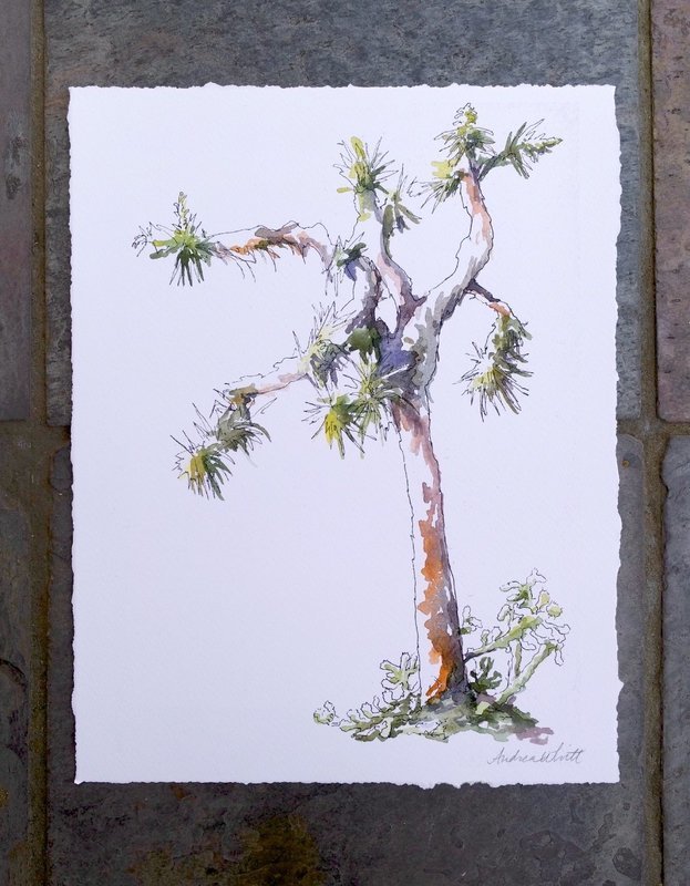Joshua Tree Giclée Print