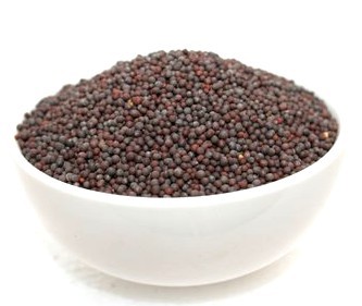Mustard Seed Brown