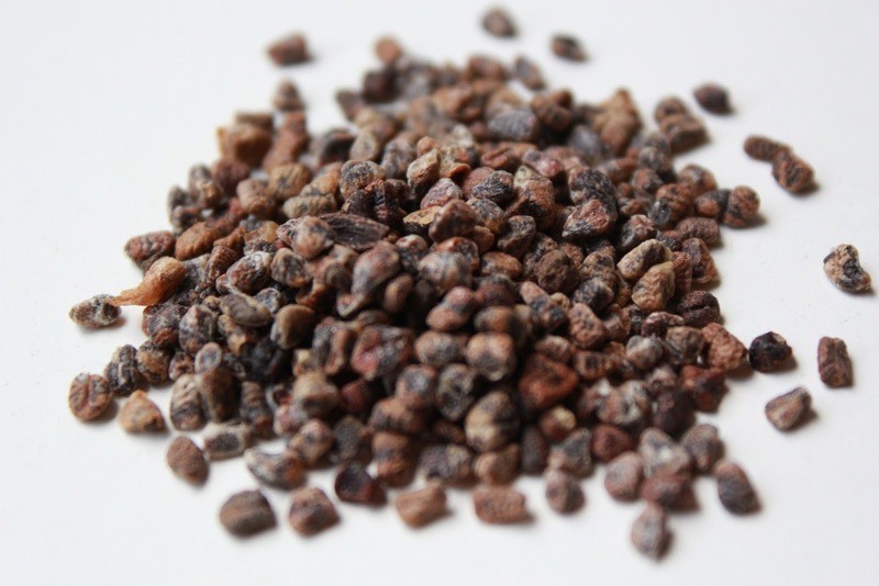 Cardamon Seeds Black (cardamom)