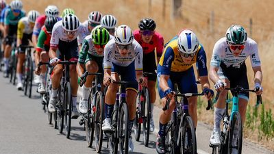 Equipos profesionales