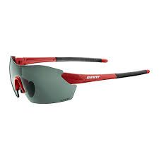 Gafas giant apus