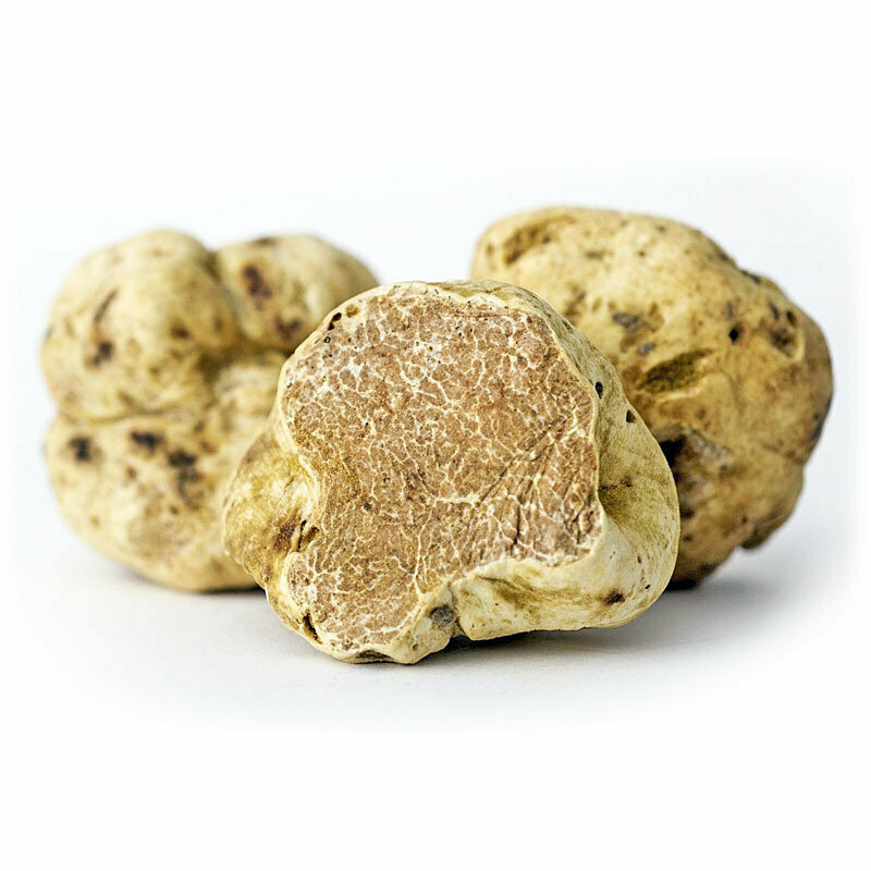 Alba Valkotryffeli (Tuber Magnatum Pico) | Fresh White Truffle From Alba | 1 kpl (+10g)