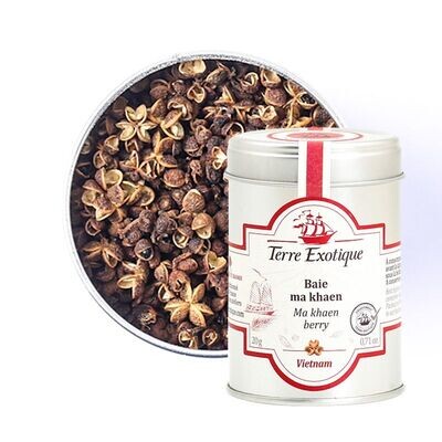 Ma Khaen pippuri | TERRE EXOTIQUE | 20g Ma Khaen pippuri | TERRE EXOTIQUE | 20g