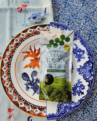 Merirypäle Umi Budo | Sea Grape | UMAMI | 40g
