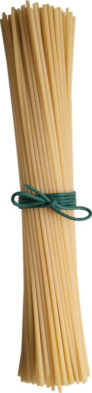 Spaghettone del Leone pasta RUSTICHELLA D’ABRUZZO 500g