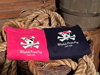 Kids Pirate Pup Hooded Sweatshirt