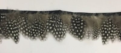 Super Selected Guinea Fowl Feathers Approx 100 Gordon Griffiths (GFF)