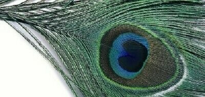 Veniard Peacock Eye Top Various colours (VEN-PEAE)