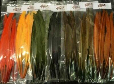 Duck Quills pack of 10 Gordon Griffiths