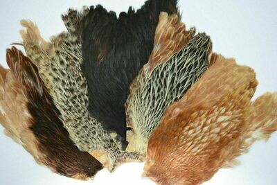 Hen Capes Dyed & Natural Gordon Griffiths