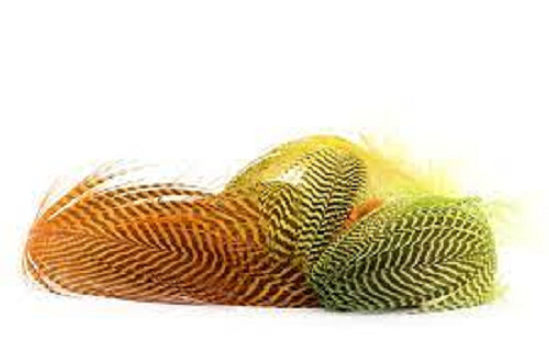 Teal Duck Feathers Dyed Pack Available in 23 Colours Gordon Griffiths