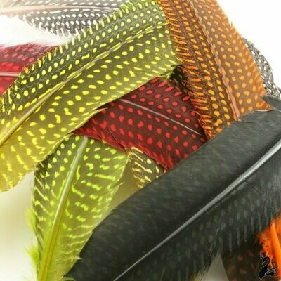 Guinea Fowl Dyed Quills Super Selected 5 Pairs Per Pack Fly Tying