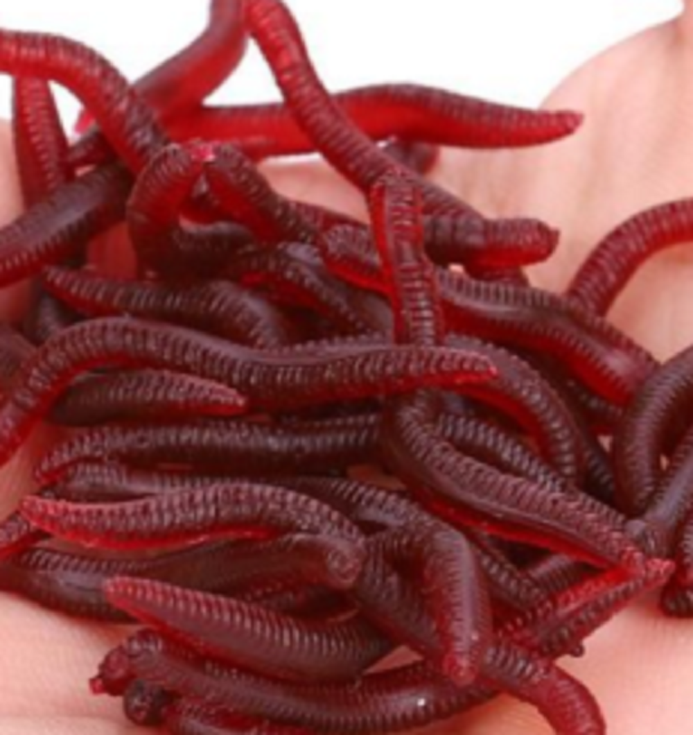 Red Bait Worms x 50 - Plastic Fishing Fake Artificial Imitation Tackle Lure
