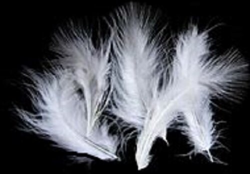 Marabou White Pack of 100   6-8" Super Selected for Fly Tying Gordon Griffiths