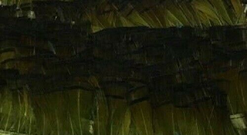 Golden Pheasant Tippet Super Selected Feathers Olive 10 Pack Fly Tying