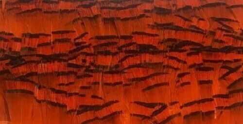 Golden Pheasant Tippet Super Selected Feathers Hot Orange 10 Pack Fly Tying